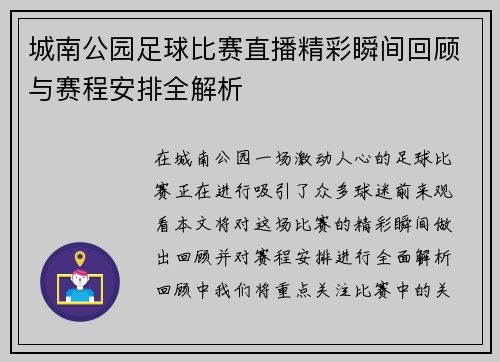 城南公园足球比赛直播精彩瞬间回顾与赛程安排全解析