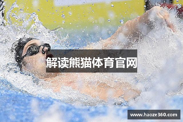 解读熊猫体育官网